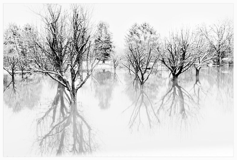 Winter #01