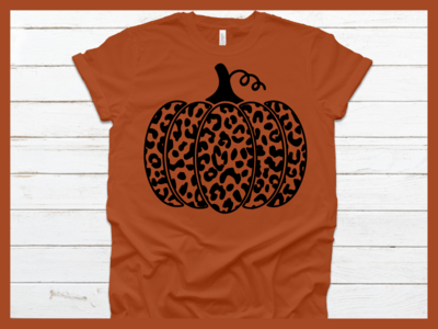 Leopard Pumpkin_Texas Orange