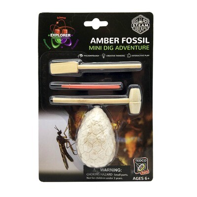 Mini Dig Kit Amber Fossil  13651