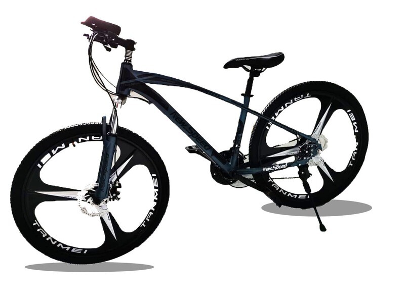 Bicicleta Tanmei Gris