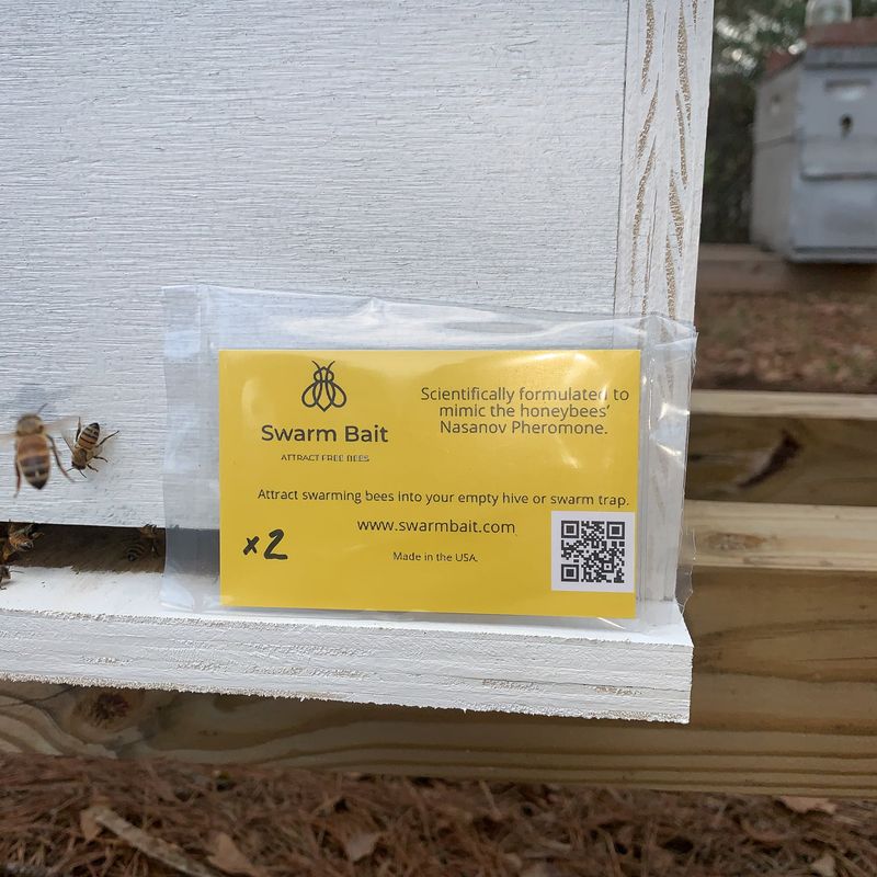 Swarm Bait Nasonov Pheromone