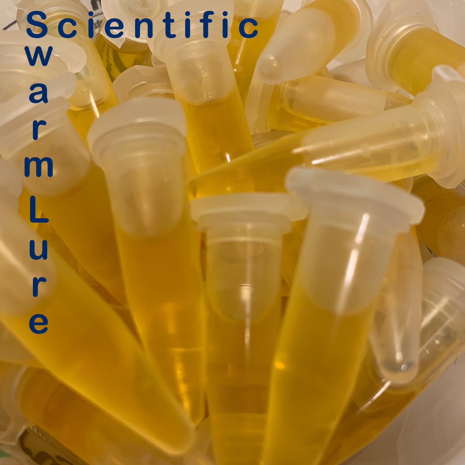 Scientific Swarm Lure Nasonov Pheromone Attractant Scientific Swarm Lure Nasonov Pheromone Attractant