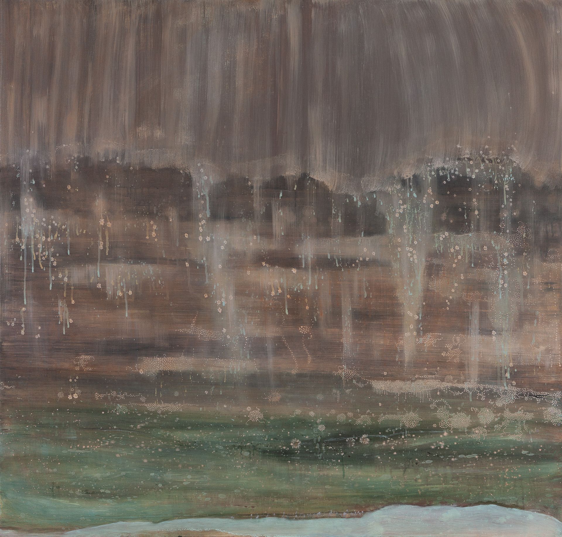 'Herbarium madelief'