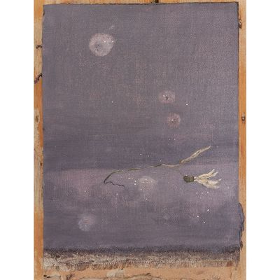 'Herbarium nachtklok'