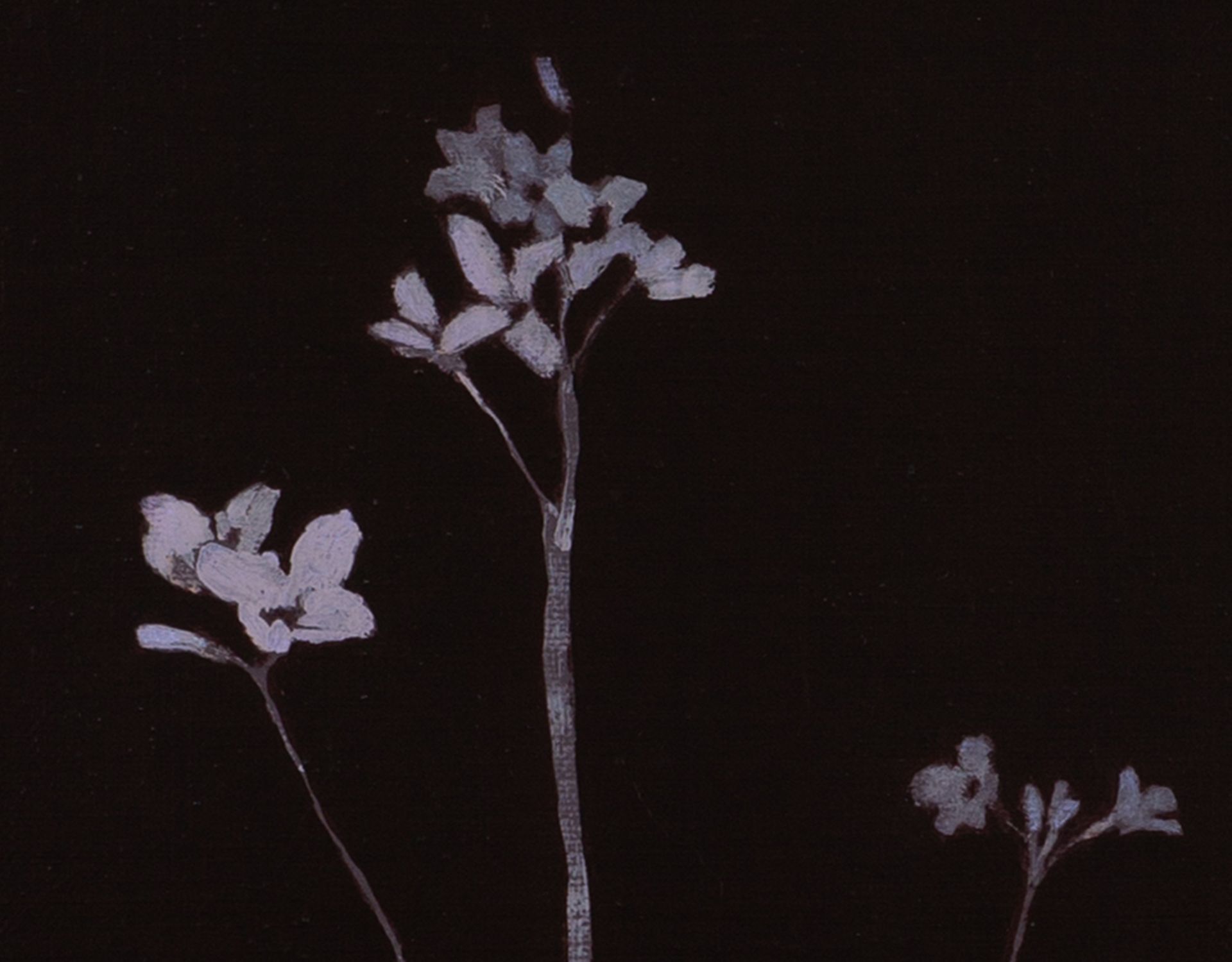 'Pinksterbloementijd'