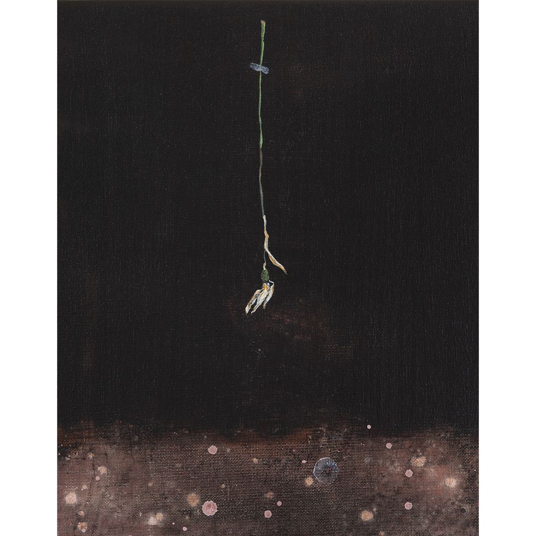 'Sneeuwklok' | Fine art print
