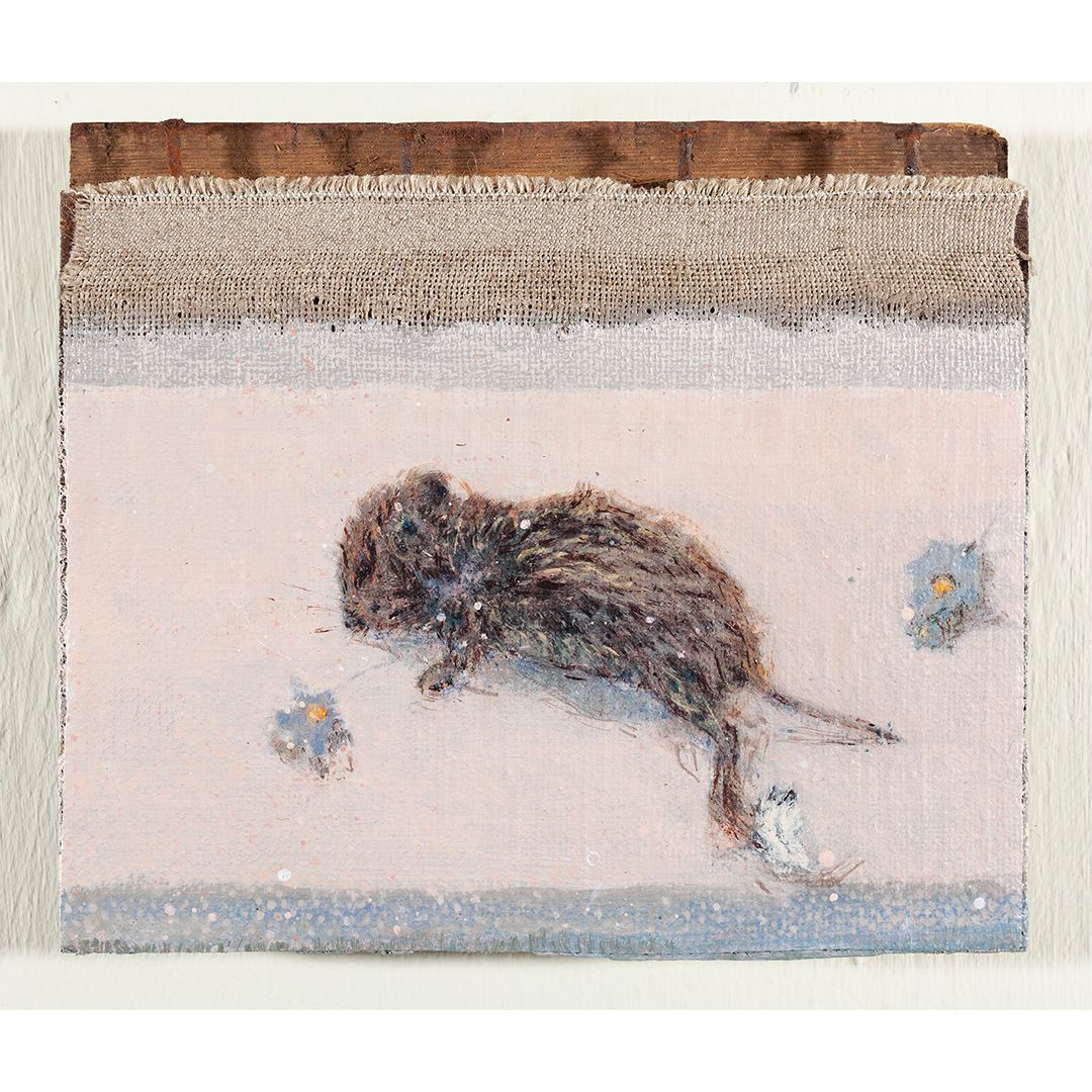 Dag kleine muis