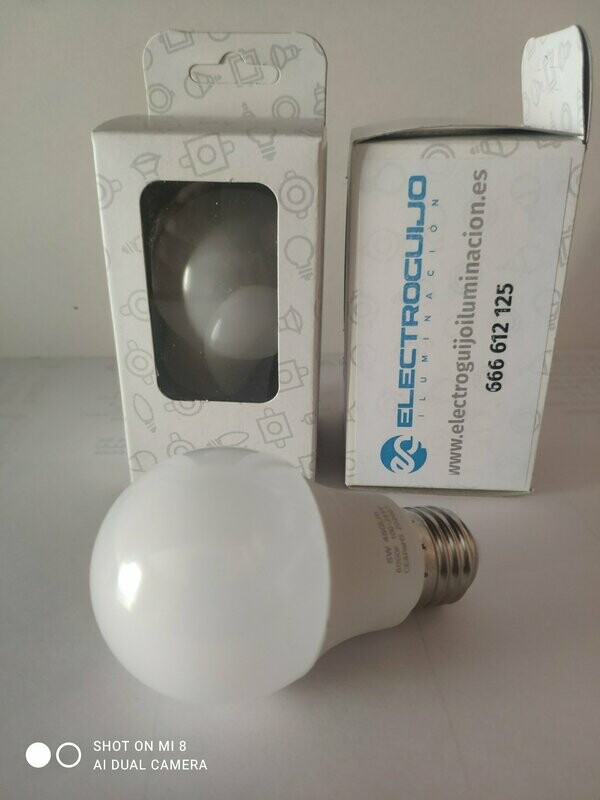 Bombilla de LEDs Esférica Aluminio/Pc E27 5W 450Lm 30.000 h
