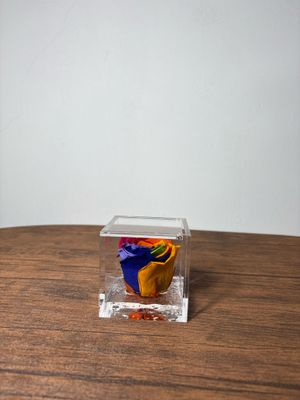 ROSA STABILIZZATA FLOWER CUBE