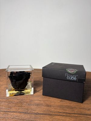 ROSA STABILIZZATA FLOWER CUBE