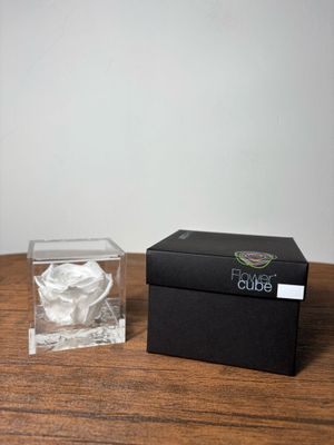 ROSA STABILIZZATA FLOWER CUBE