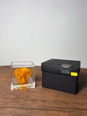 ROSA STABILIZZATA FLOWER CUBE