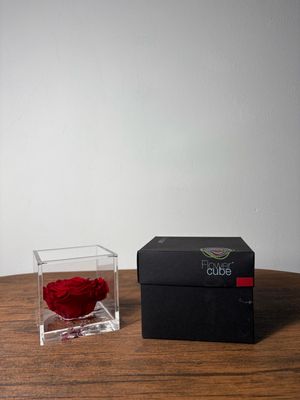 ROSA STABILIZZATA FLOWER CUBE