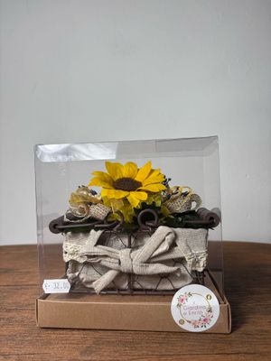 GIRASOLI STABILIZZATI