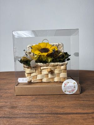 GIRASOLE STABILIZZATO