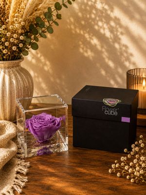 ROSA STABILIZZATA FLOWER CUBE