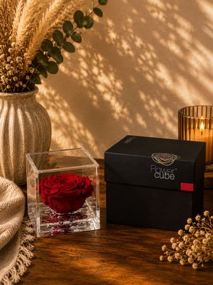 ROSA STABILIZZATA FLOWER CUBE