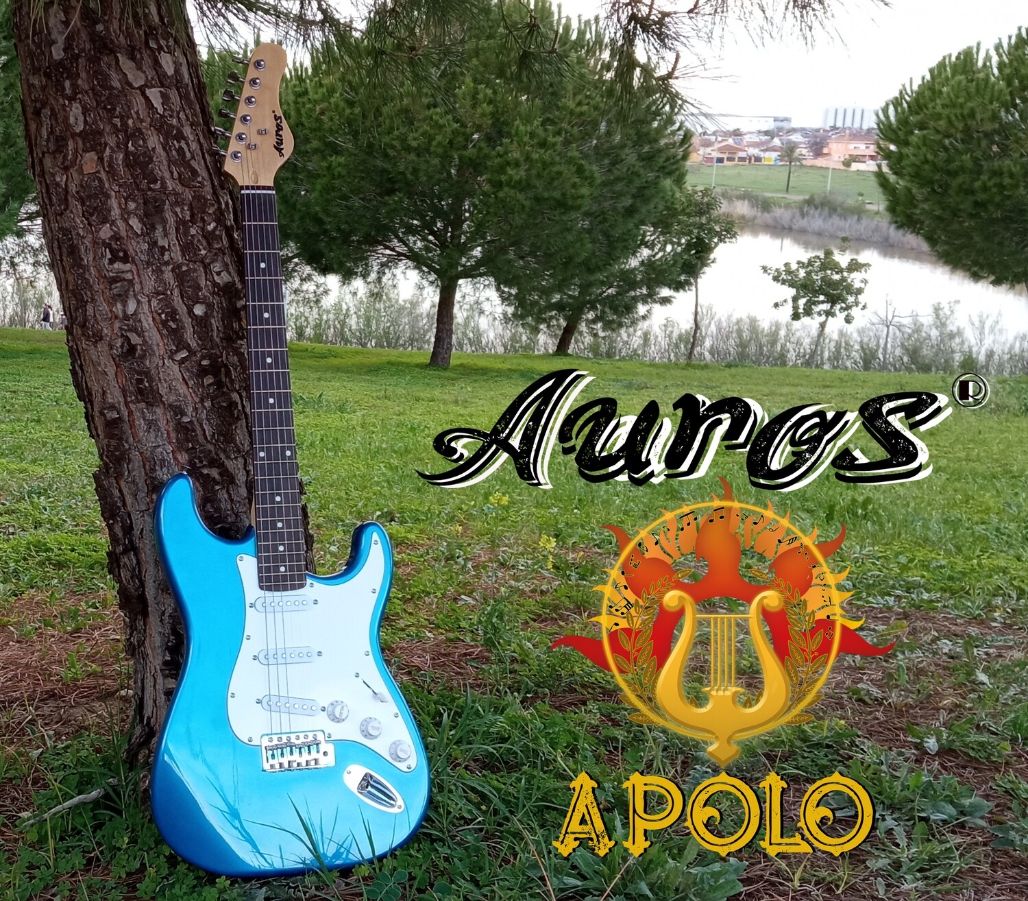 GUITARRA ELECTRICA SERIE APOLO (1 UNIDAD EN STOCK)