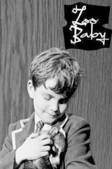 Zoo Baby DVD - (1960) - ￼Angela Baddeley, Gerard Lohan, Maurice Kaufmann, Dorothy Bromiley, Bruce Seton