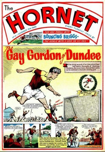 The Hornet Comic Issues 1 - 648 DVD ROM