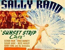 The Sunset Murder Case DVD - (1938) - Sally Rand, Esther Muir**