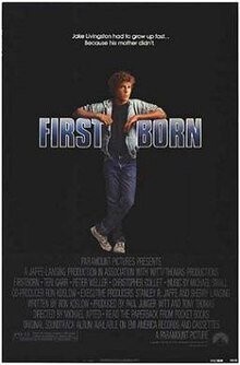 Firstborn DVD - (1984) - Teri Garr, Peter Weller, Christopher Collet**