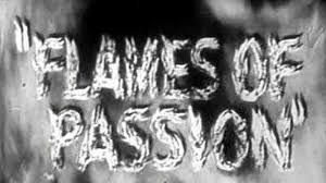 Arena - Flames Of Passion: The Other Side Of British Cinema DVD - (2007) - Miriam Margolyes, Michael Powell, Emeric Pressburger ~~