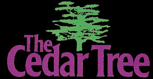 The Cedar Tree TV Series DVD - (1976-1978) -Susan Valentine, Ruth Holden, Sally Osborne  =
