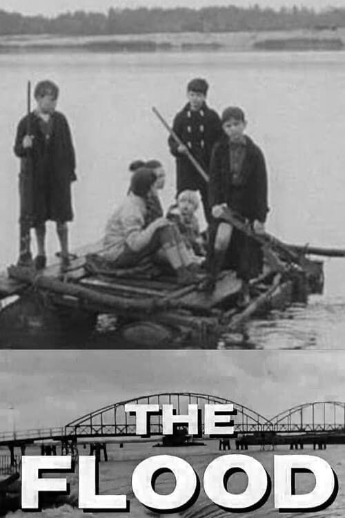 The Flood - DVD - (1963) - Waveney Lee, Ian Ellis, Christopher Ellis~~