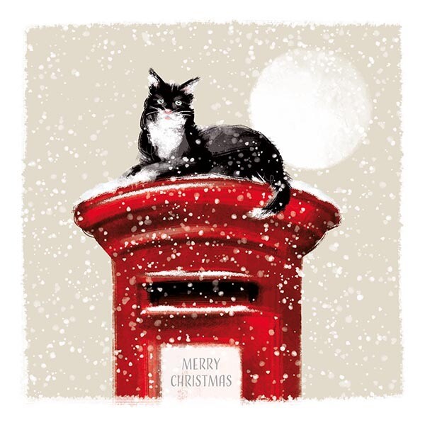 Postman Cat x 10