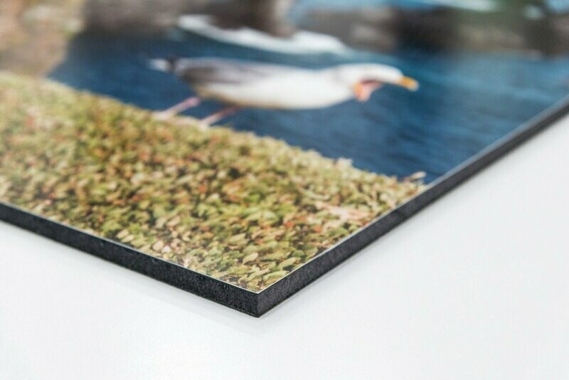 Pannello Piuma 70x70
