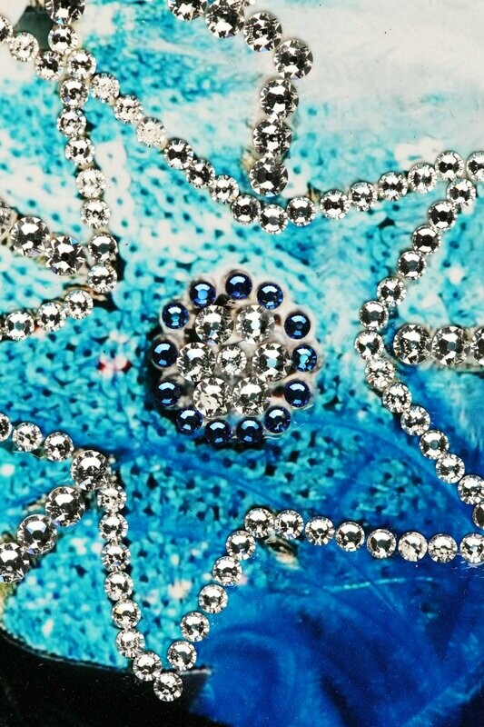 Foto pannello "Piuma" con cristalli SWAROVSKY formato 30x40 cm.