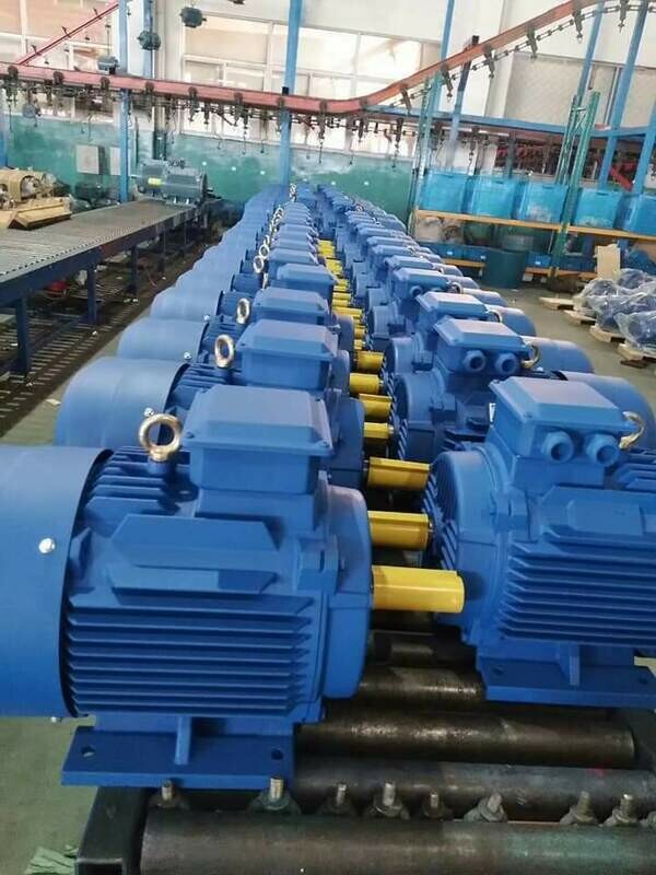 MOTORS