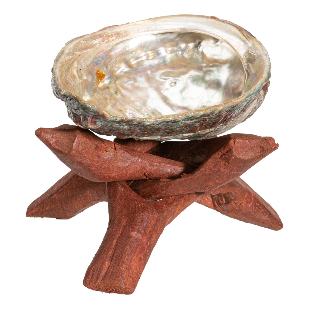 ABALONE SHELL WITH STAND
