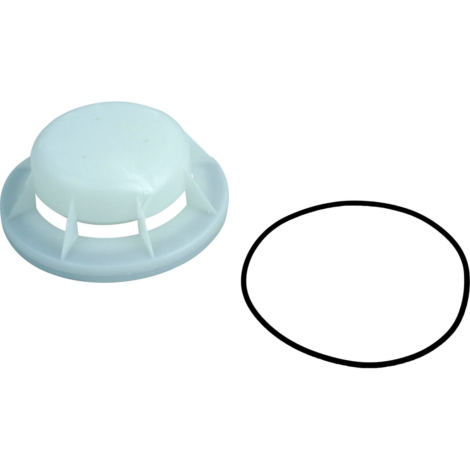 FLOAT VALVE ASSY W/O-RING PENTAIR STARITE 08650-0079