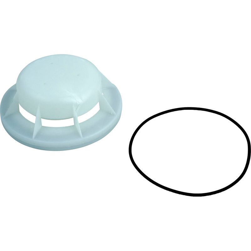 FLOAT VALVE ASSY W/O-RING PENTAIR STARITE 08650-0079
