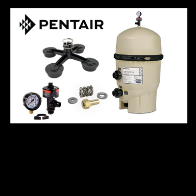 PENTAIR CLEAN &amp; CLEAR PLUS FILTER