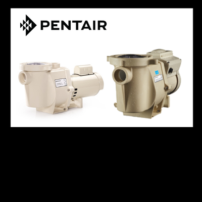 PENTAIR WHISPERFLO/INTELLIFLO