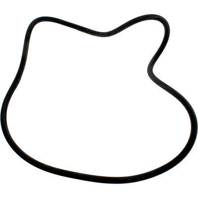 O-RING O-485 21" STARITE SYSTEM 3 JANDY CL/CV/DEV