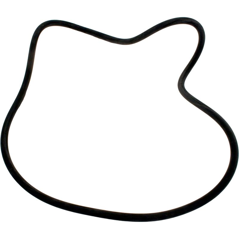 O-RING O-486 25" STARITE SYSTEM 3