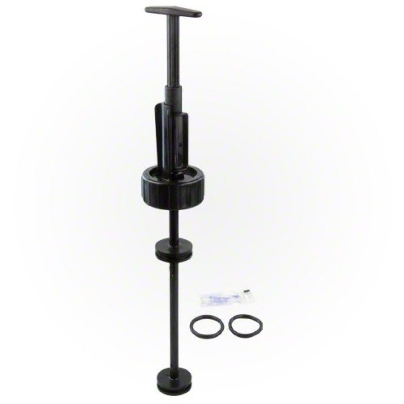 HANDLE &amp; PISTON ASSY OEM STARITE PENTAIR 263055