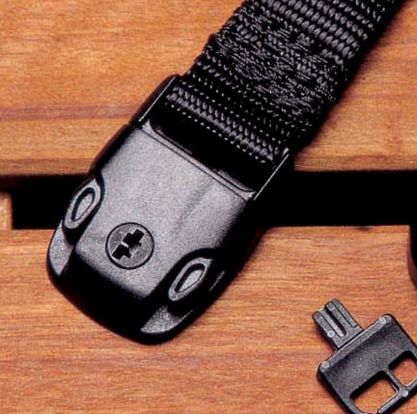 SPA COVER LOCK SET W/KEY (PINCH RELEASE)