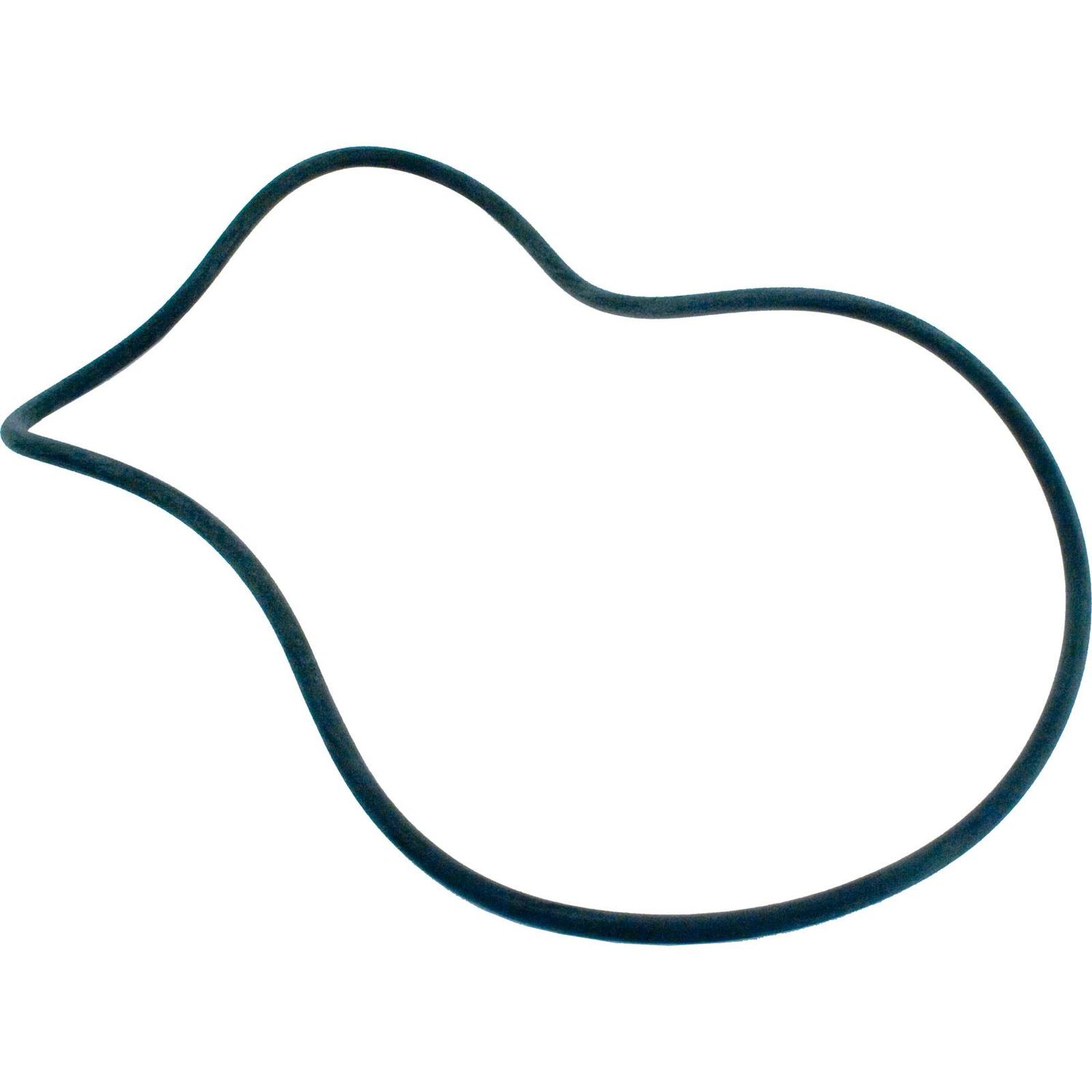 O-RING O-484 STARITE PLM TANK AFTER 2/97 27001-0061S