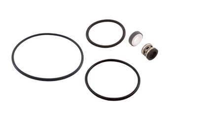 GO KIT HAYWARD MAXFLO VS PUMP