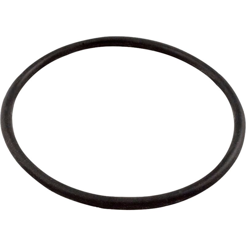 O-RING O-19 PUMP LID MAXFLO VS AMERICANA II MAXIM