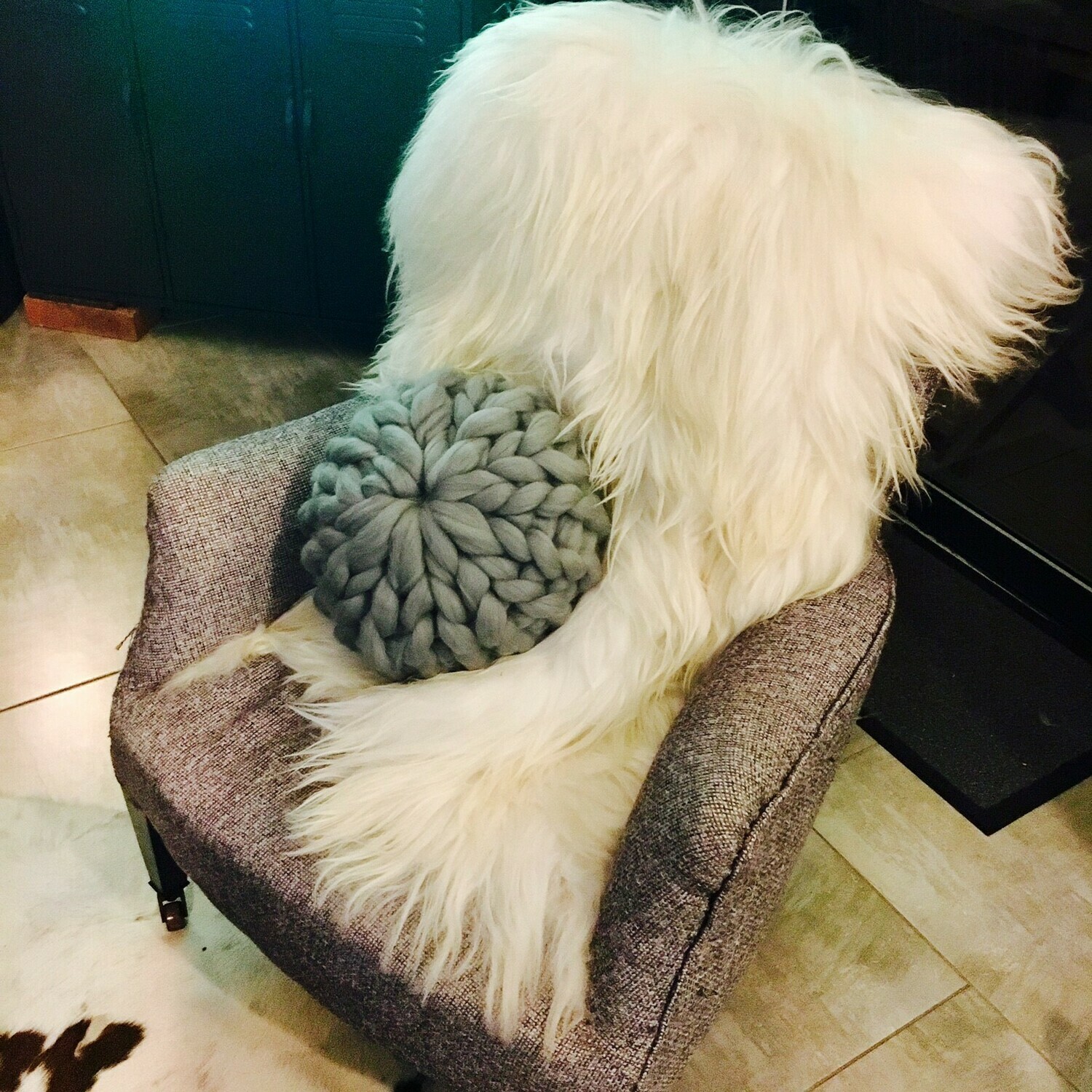 ATELIER OU KIT COUSSIN BOULE
