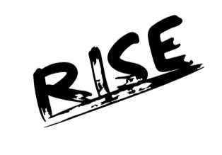 Digital Marketing Consultant Services - Rise
