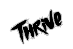 Digital Marketing Consulting Services- Thrive