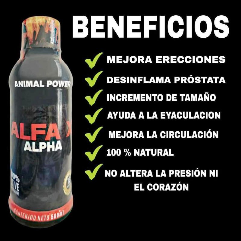 POTENCIADOR ENERGIZANTE NATURAL ALPHA X