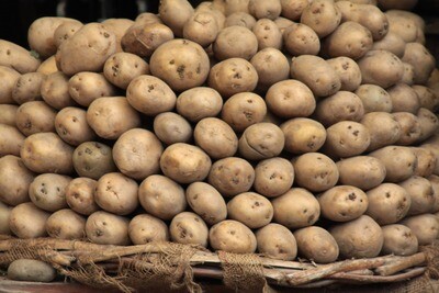 Potatoes Maris Piper 25kg Sack-